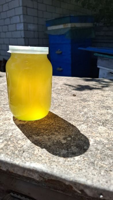 Натуральний Акацієвий мед та Соняшниковий з власної пасіки  2025 року