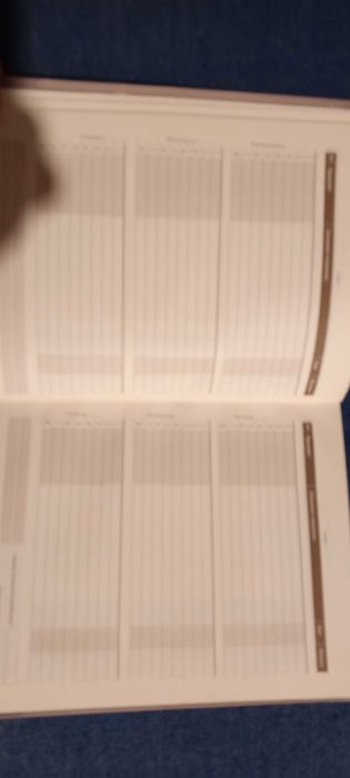 Щоденники шкільні (1 шт)