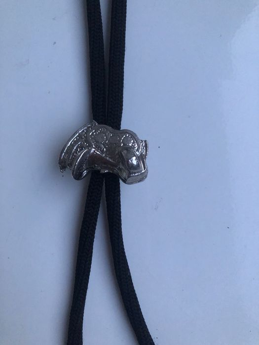 Знак масонів, краватка -  боло та сережки