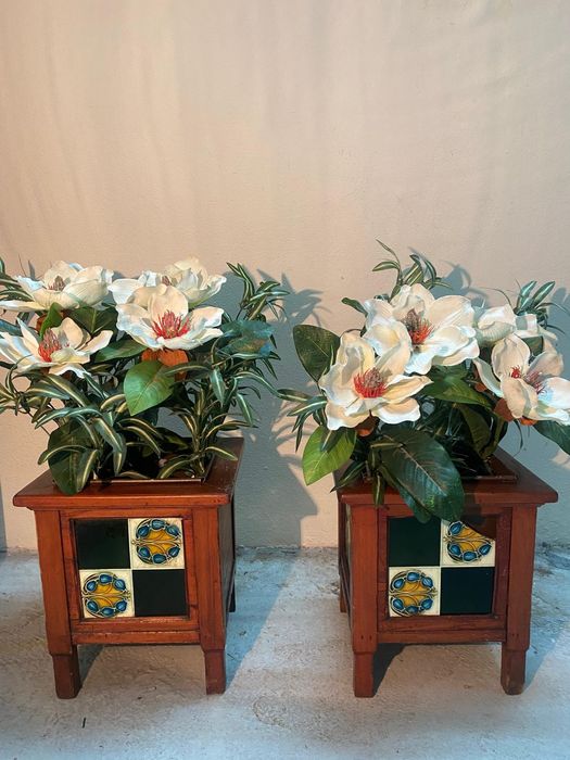 Vasos de plantas de entrada
