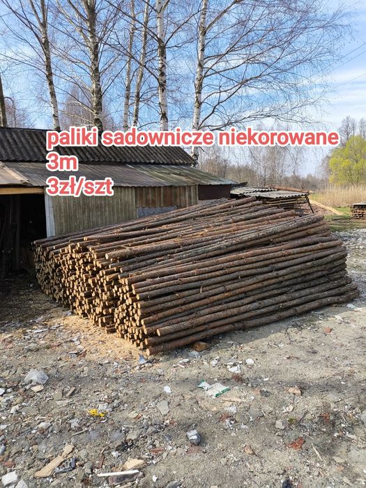 Paliki niekorowane sadownicze 3m 3zl