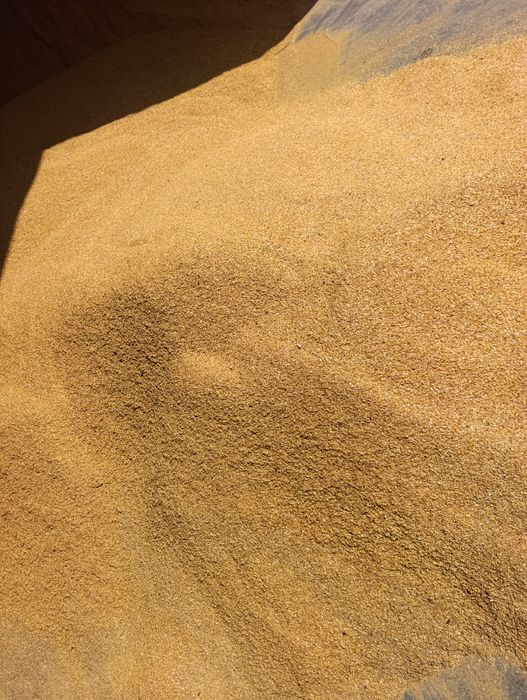 DDGS Kukurydziany sypki