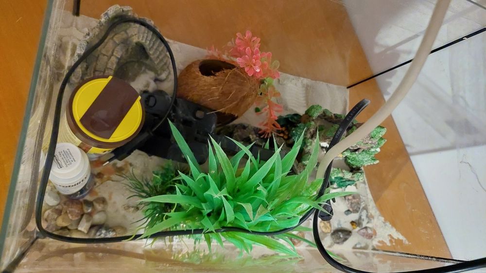 Akwarium  30l z wyposażeniem ozdobami