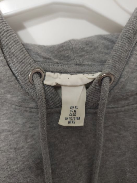 Bluza szara z długim rękawem Harvard H&M plus size EU XL