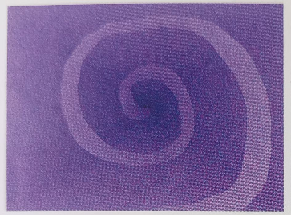 Stereogram, obrazek 3D, magiczne oko w ramce 33x24cm