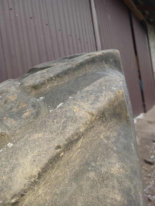 Шина мтз  скат колесо резина 11.2-20  т40 покришка