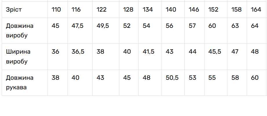 Дитяча вишиванка на хлопчика з довгим рукавом святкова для школи