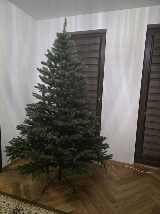 Choinka wys. Ok 230 cm