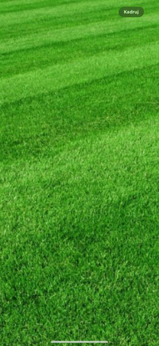 Pielegnacja ogrodow,koszenie,wycinka,mycie kostki