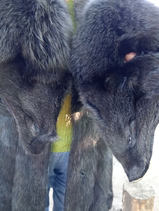 Шуба. Мех писец и нутрия.