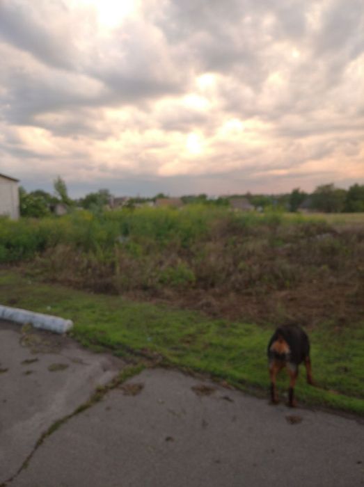 Дворище ! Будинок ! - НеДобудова !