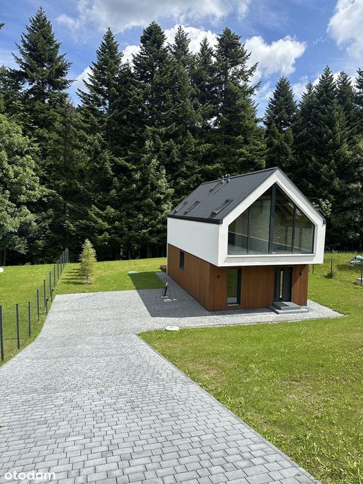 Unikatowy dom u podnóża Babiej Góry nad górskim potokiem Zawoja