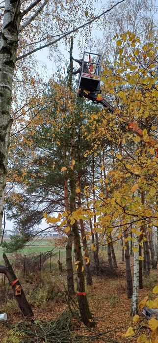 Podnosnik 20m, wycinka drzew, czyszczenie rynien, dachu. Mazowieckie.