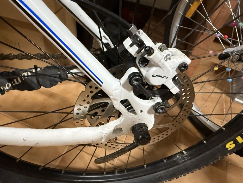 Bicicleta BH estimada