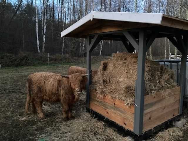 PAŚNIK, karmnik, bardzo MASYWNY!!, konie, siano, balot.