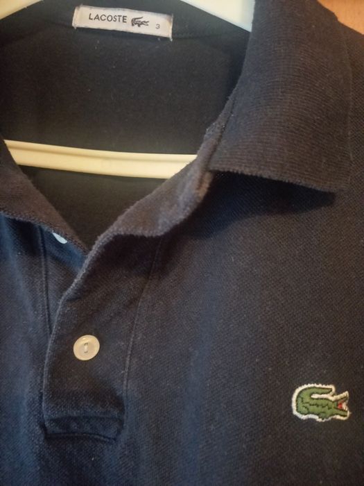 Koszulka polo Lacoste:-)