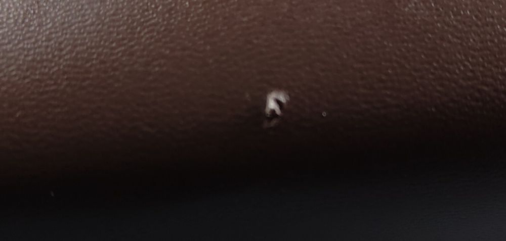 Etui do okularów Ray Ban