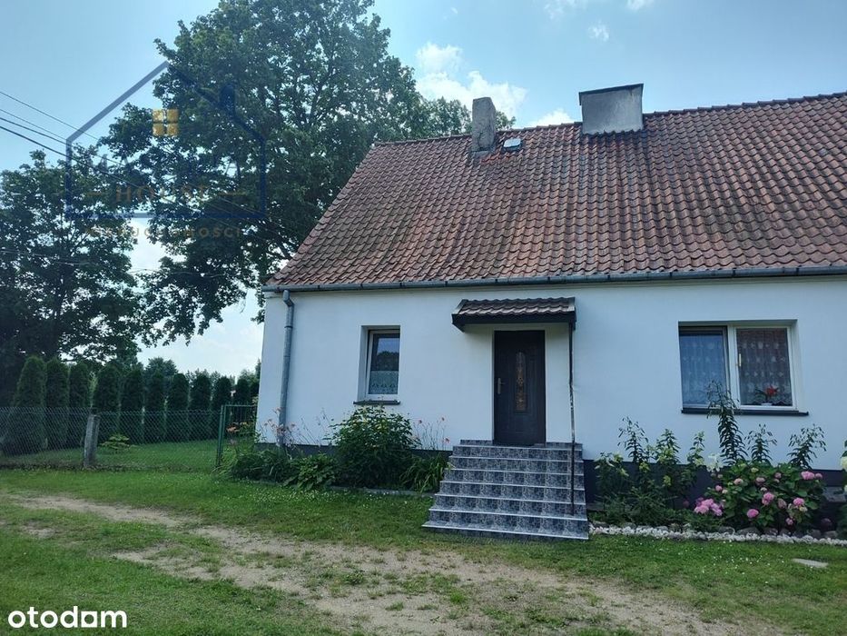 Mieszkanie blisko jeziora Dąbrowa Wielka – Leszcz,