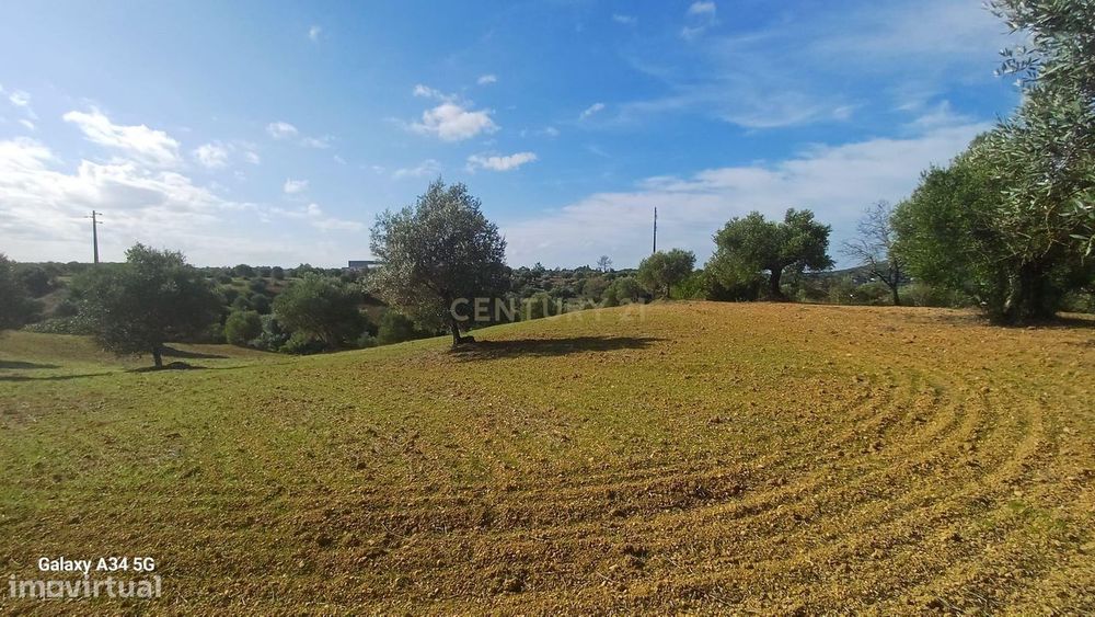 Terreno Rústico em Torres Novas - Oportunidade Única!