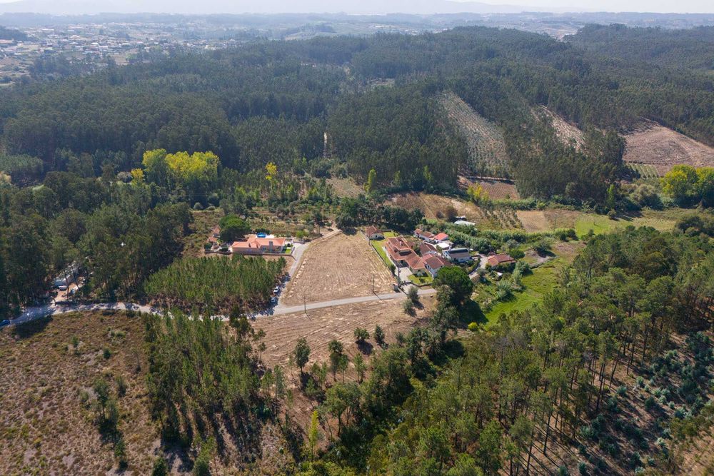 Terreno construção de moradias em local agradável