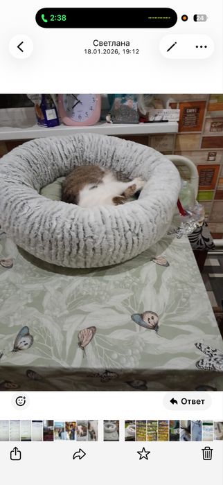 Лежанка для кота