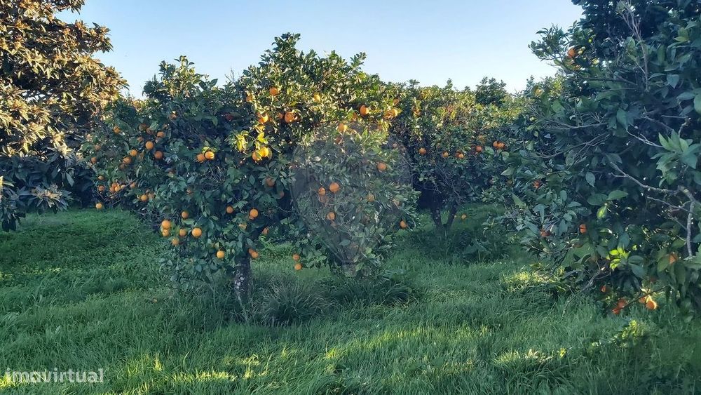 Terreno  para venda — Salir, Faro