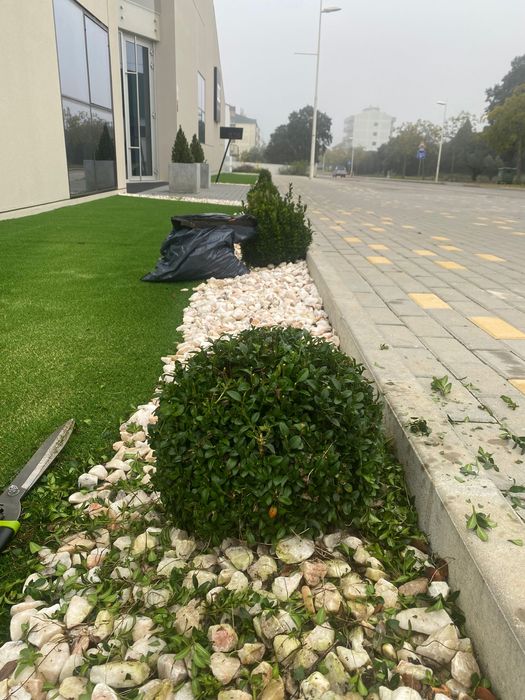 Limpeza de terrenos / Manutenção de jardins