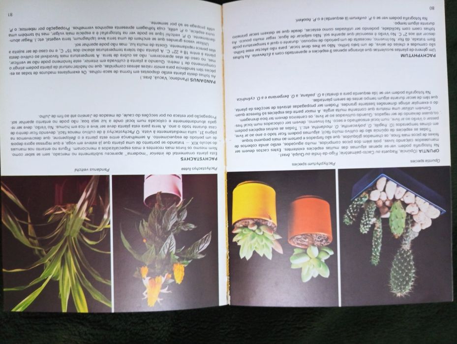 Plantas de interior – Rob Herwig - Editorial Presença - 1974