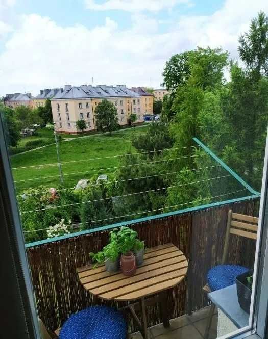 Przestronne 3 pokoje w sercu zielonej okolicy – ul. Żwirki i Wigury