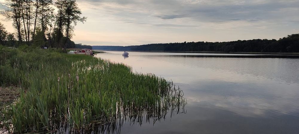 Domek letniskowy do wynajęcia