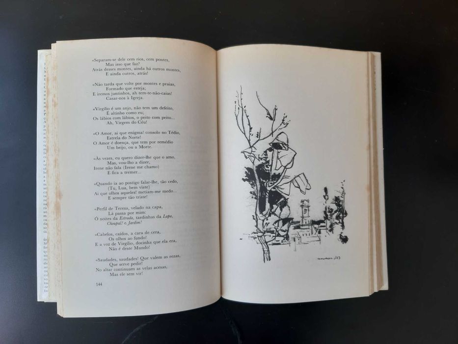 Poesia Completa - António Nobre