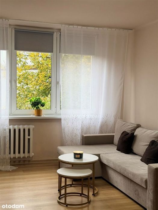 Zabrze Rokitnica 2pokoje,balkon,1 piętro.