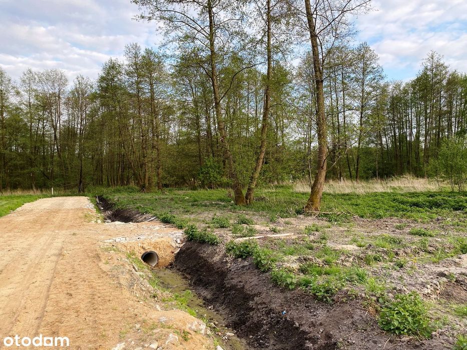 Z linią brzegową rzeki Jeziorki i lasem, 25 min od Okęcia - Widok 2
