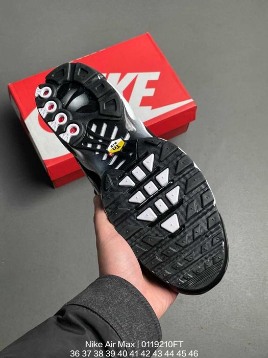 Air_Max_TN_Plus 44