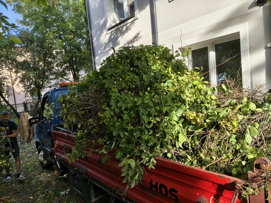 Usługi ogrodnicze rębak wycinki drzew i krzewów pielęgnacja ogrodu prace porządkowe