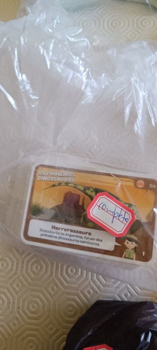 Cartas super animais