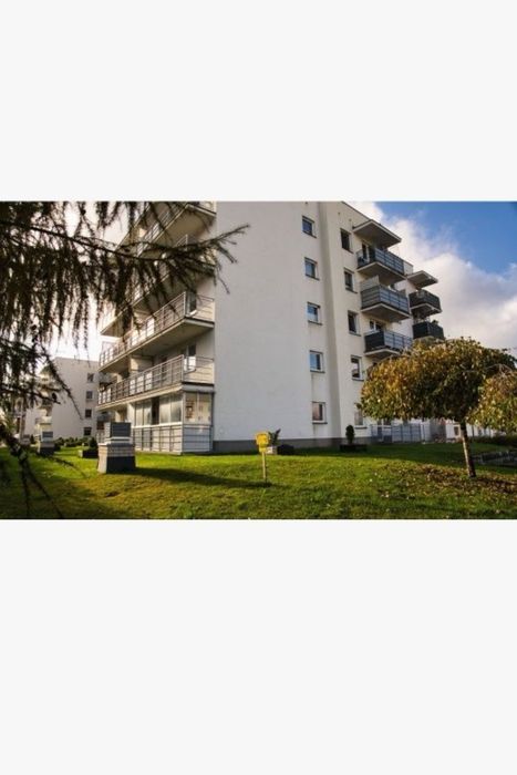 Wynajem wynajmę mieszkanie 3 pokojowe