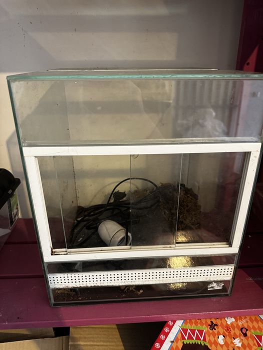 Terrario pequeno