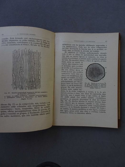 Livro Introdução à botânica Introduccion Botânica B. Fernandez Riofrío