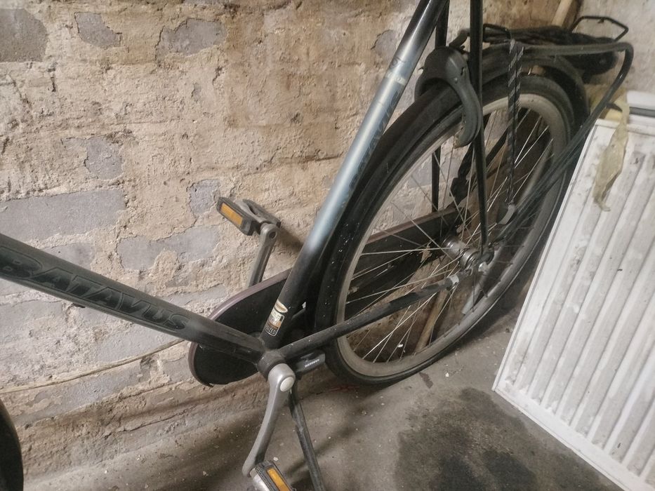 Rower batavus.     .
