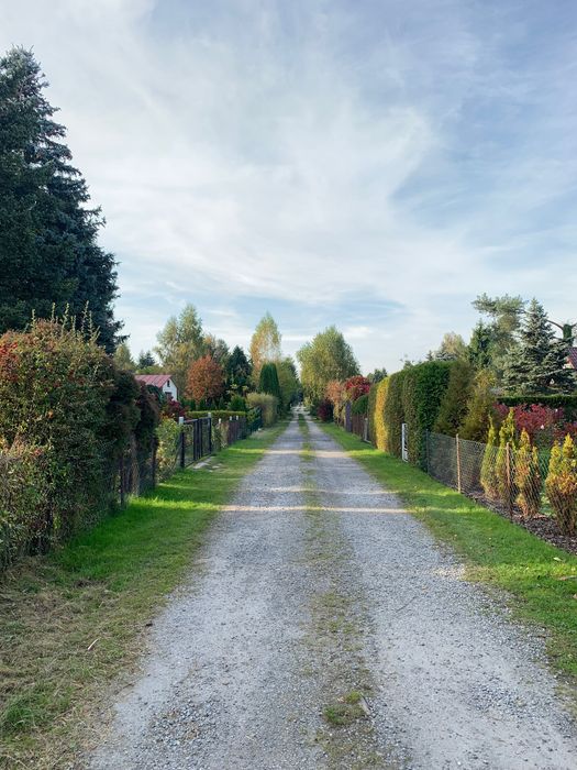 ROD 505 m² Szczaki | prąd + woda | blisko Warszawy i Piaseczna - Widok 3