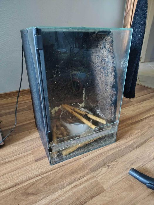 terrarium 60x40x40