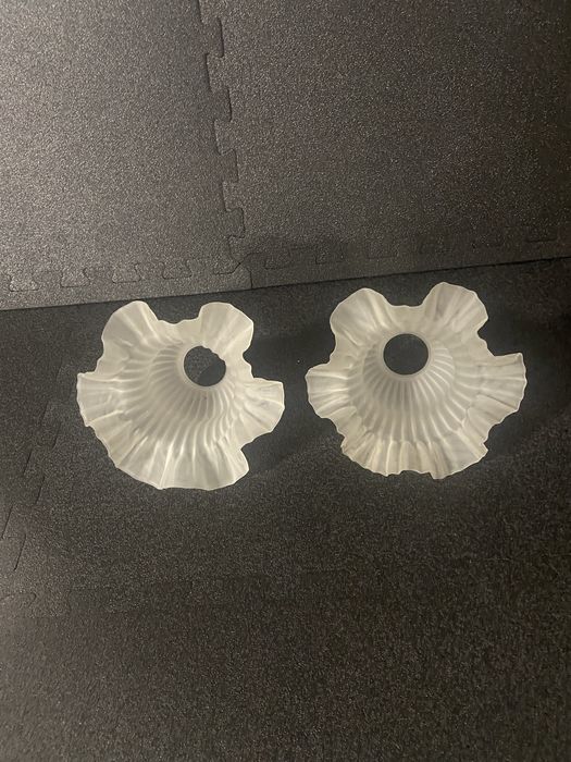 Par de tulipas antigas