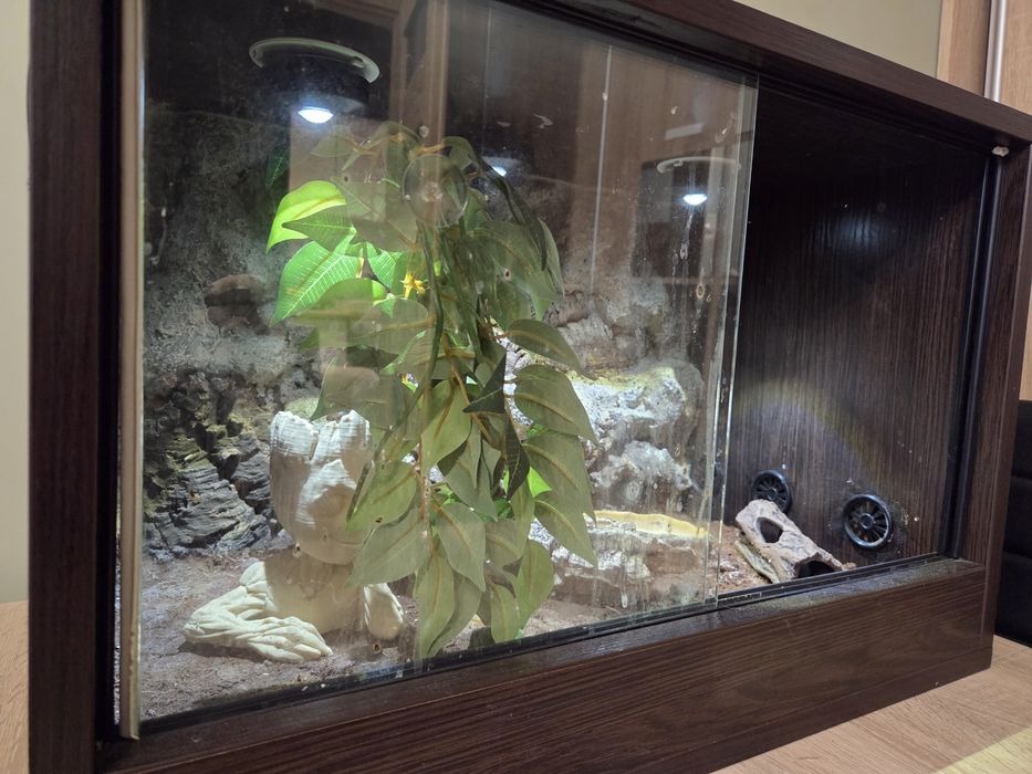 Terrarium 60x40x40