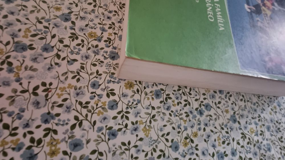 Direito da Família Contemporâneo