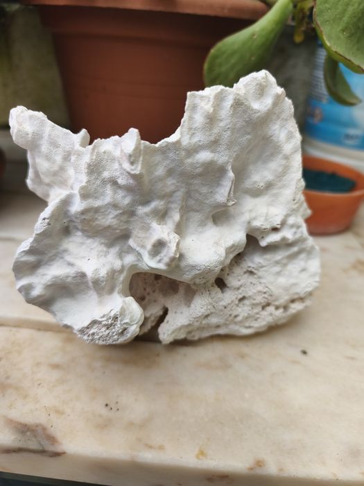 Pedra para aquário