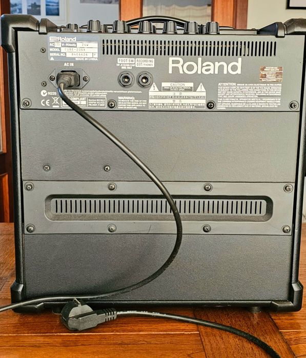 Roland Cube 20GX