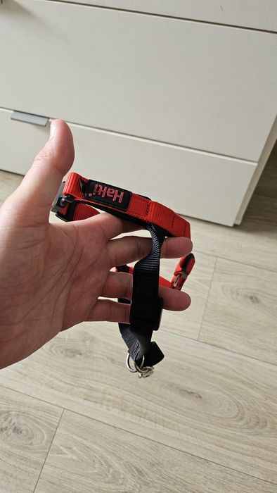 Szelki dla psa firmowe HALŁI