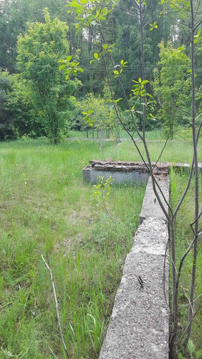 .Продаж великої земельної ділянки під будівництво у с. Свидівок.