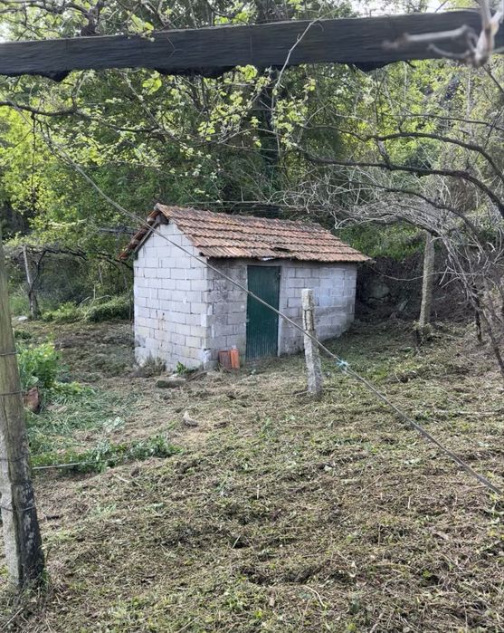 Alugo Terreno Agricula / Cultivo